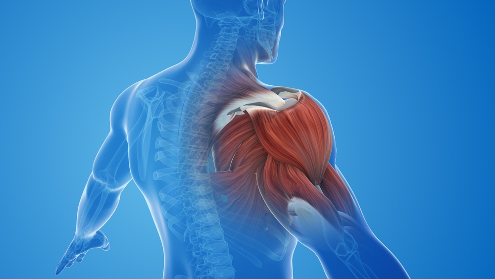 SLU-PP-332 Muscle injury | Shaanxi BLOOM Tech Co., Ltd SLU-PP-332 Muscle injury | Shaanxi BLOOM Tech Co., Ltd